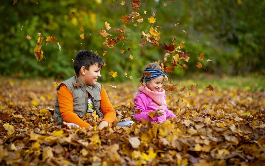 Kids playing in forest with leaves